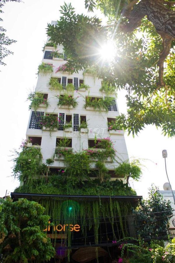 Seahorse Tropical Apartment Da Nang Buitenkant foto